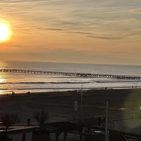 公寓 Bord De Vue Panoramique Avec Parking Prive *